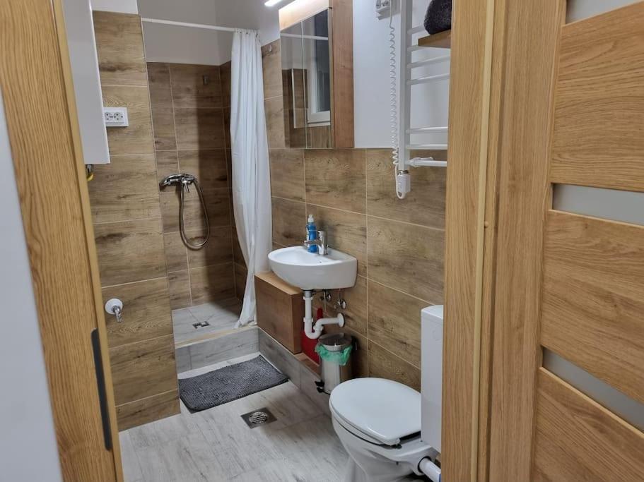 Downtown Studio Apartman Pecs Bagian luar foto